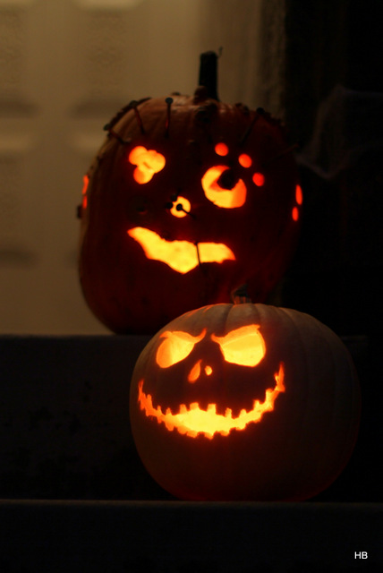 Arctic Boy's (top) and Mei Guo's