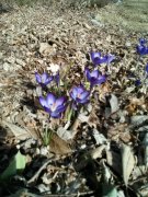 CameraZOOM-20140302151700347