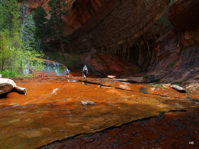 Invitation into the Subway.