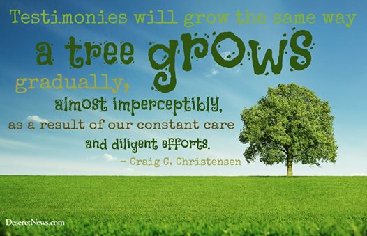 testimony grows like a tree