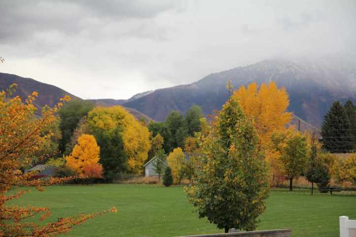 The view of this mountain from my back porch is one of my favorite things. I love the color of the leaves on the trees in the park.