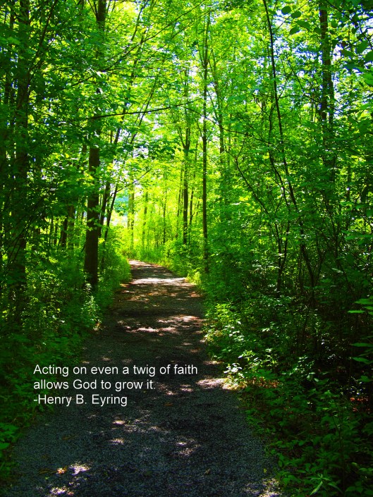Acting on even a twig of faith allows God to grow it. - Henry B. Eyring, Mountains to Climb, April 2012 General Conference (Image 2011 Sacred Grove, Palmyra, NY) 