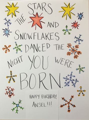 The stars and snowflakes danced the night you were born.