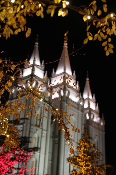 Sometimes I forget to focus on what matters most, but when I go to the temple, it helps me get things back in perspective.